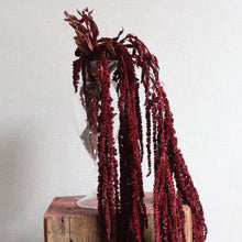 Load image into Gallery viewer, Amaranthus Hanging - Preserved
