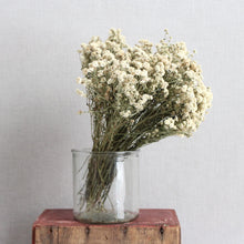 Load image into Gallery viewer, 3 oz bunch pictured
