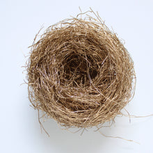 Load image into Gallery viewer, Bird&#39;s Nest

