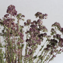Load image into Gallery viewer, Oregano - Greek (Dried)
