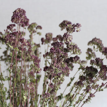 Dried Greek Oregano