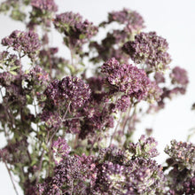 Load image into Gallery viewer, Oregano - Greek (Dried)

