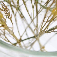 Load image into Gallery viewer, Floral Tape - Clear
