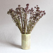 Load image into Gallery viewer, Oregano - Greek (Dried)
