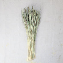 Load image into Gallery viewer, Millet - Tapestry (Dried)
