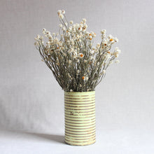 Load image into Gallery viewer, Ammobium (winged everlasting) - Dried Flowers in metal vase
