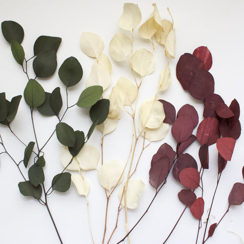 Preserved/Bleached Eucalyptus - green, red, and bleached
