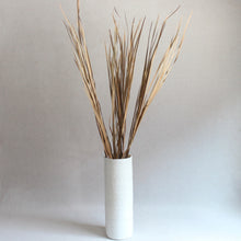 Load image into Gallery viewer, Wild Grass - Dried
