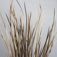Load image into Gallery viewer, Wild Grass - Dried
