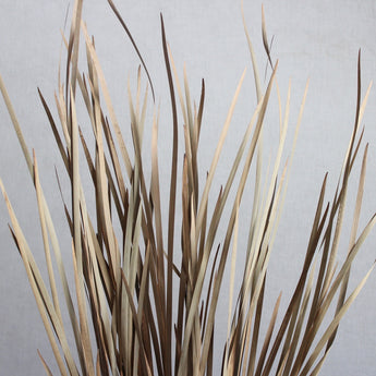 Dried Wild Grass