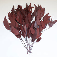 Load image into Gallery viewer, Eucalyptus - Willow (Preserved)
