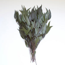 Load image into Gallery viewer, Eucalyptus - Willow (Preserved)
