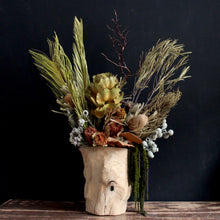 Load image into Gallery viewer, Banksia - Coccinea
