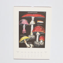 Load image into Gallery viewer, Wall Calendar
