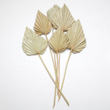 Load image into Gallery viewer, Palm - Spear
