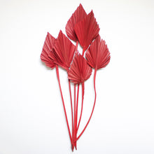 Load image into Gallery viewer, Palm - Spear
