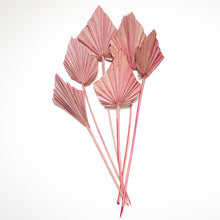 Load image into Gallery viewer, Palm - Spear
