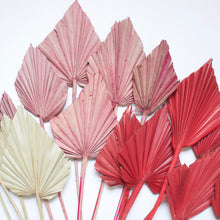 Load image into Gallery viewer, Palm - Spear
