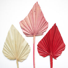 Load image into Gallery viewer, Palm - Spear
