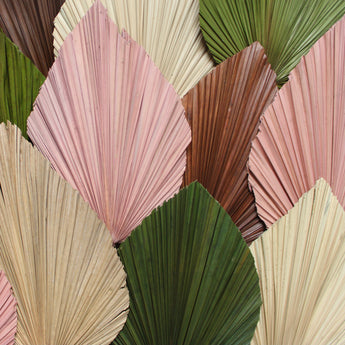 Dried Anahaw Palm Frond 40"
