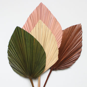Dried Anahaw Palm Frond 40"