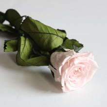 Load image into Gallery viewer, Preserved Stemmed Rose
