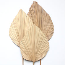 Load image into Gallery viewer, Palm Fronds - Anahaw 40&quot;
