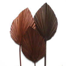 Load image into Gallery viewer, Palm Fronds - Anahaw 40&quot;

