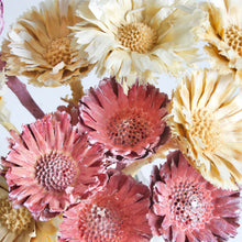 Load image into Gallery viewer, Protea - Rosette Compacta
