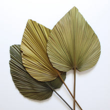 Load image into Gallery viewer, Palm Fronds - Anahaw 55&quot; (Local Pickup Only)
