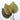 Anahaw Palm Frond 55" (Local Pickup Only)