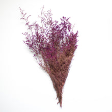 Load image into Gallery viewer, Preserved Foliage (Caspia/Limonium) Bunch in color &quot;Plum&quot;
