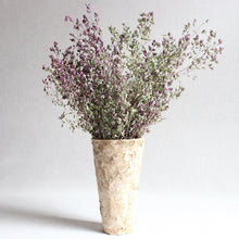 Load image into Gallery viewer, Oregano - Santa Cruz
