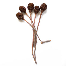 Load image into Gallery viewer, African Knobs
