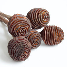 Load image into Gallery viewer, African Knobs
