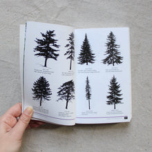 Load image into Gallery viewer, Peterson Field Guides to Eastern Trees
