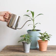 Load image into Gallery viewer, Watering Can - Stainless Steel
