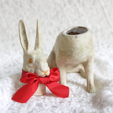 Load image into Gallery viewer, Rabbit Cachette
