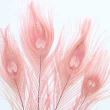Load image into Gallery viewer, Peacock Feather - Dyed
