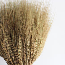 Load image into Gallery viewer, Gathered Wheat Sheaf
