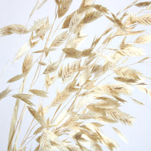 Load image into Gallery viewer, Sea Oats
