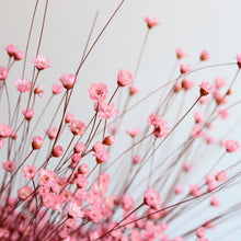 Load image into Gallery viewer, Star Flowers

