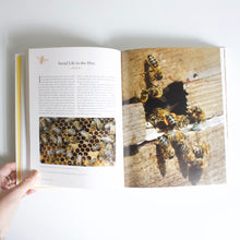 Load image into Gallery viewer, The Beekeeper&#39;s Bible
