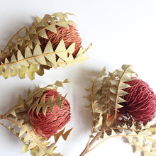 Load image into Gallery viewer, Banksia Baxterii
