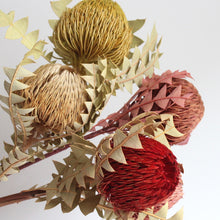 Load image into Gallery viewer, Banksia Baxterii
