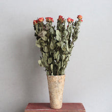 Load image into Gallery viewer, Roses - Dried
