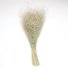 Load image into Gallery viewer, Rice Grass - Dried
