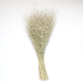 Dried Rice Grass