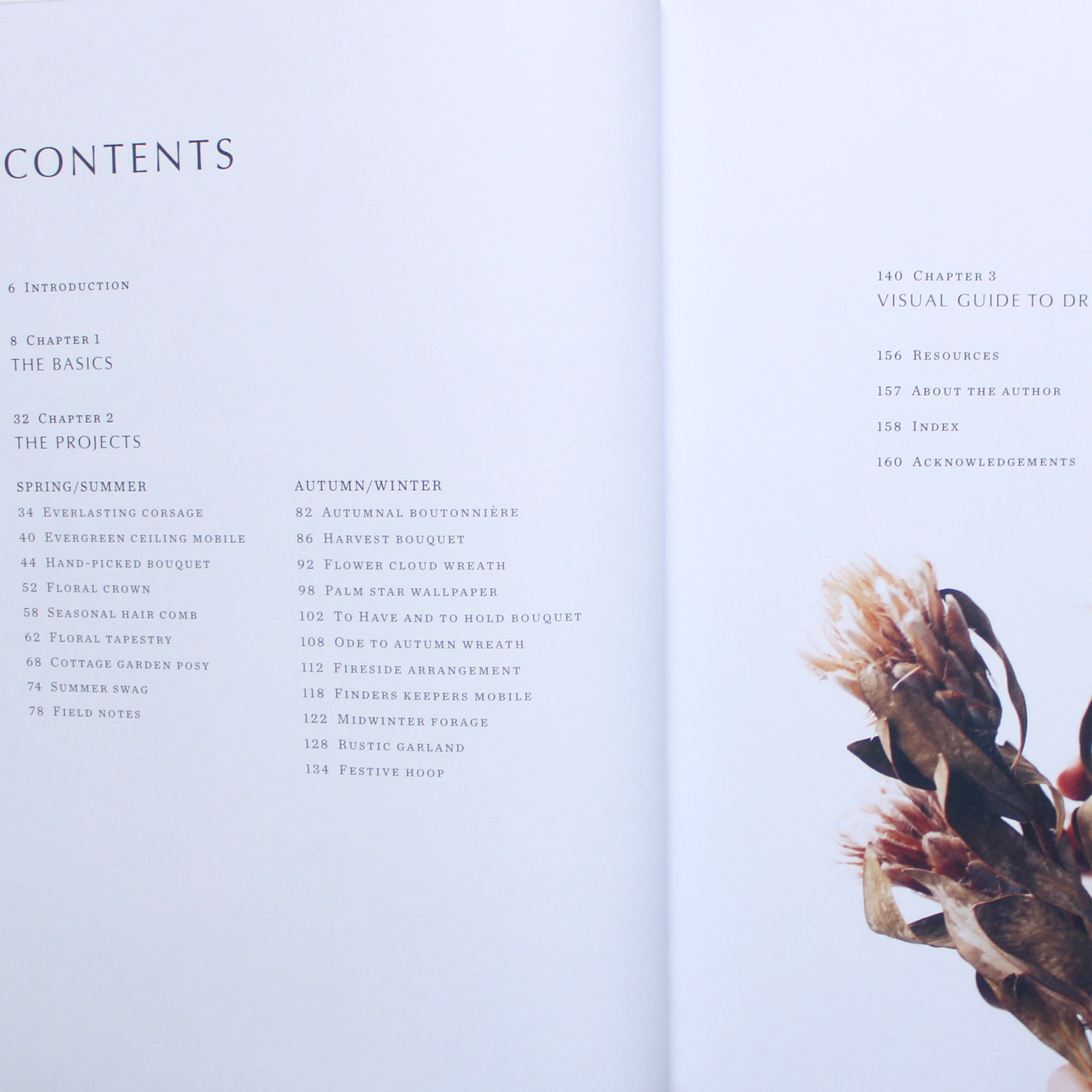 Modern Dried Flowers by Angela Maynard, Quarto At A Glance