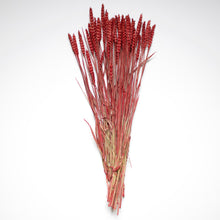 Load image into Gallery viewer, Rye Wheat
